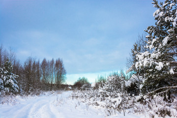 Beautiful rural landscape on a frosty winter cloudy day.