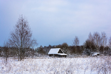 Beautiful rural landscape on a frosty winter cloudy day.