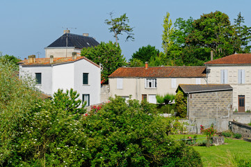 Fototapeta na wymiar bei Mortagne-sur-Gironde, Frankreich