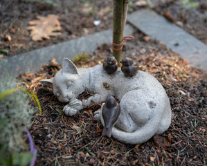 schlafende Katze mit kleinen Vögeln