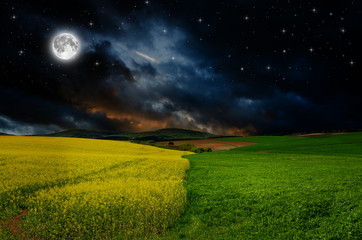 rape field in the night