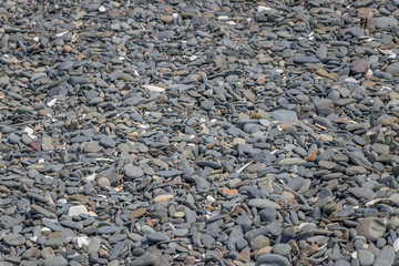rocky beach with smooth rocks