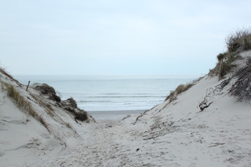 Dunes at the coast of the North Sea