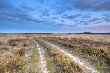 Fototapeta na wymiar Natural heathland landscape near Hijken