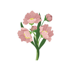Beautiful spring flowers with pink petals and green leaves. Beautiful bouquet. Botanical composition. Flat vector icon