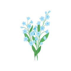 Fototapeta na wymiar Two small branches of blue forget-me-not flowers. Beautiful blooming plant. Detailed flat vector design