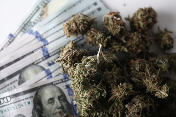 cannabis business concept. Medical Marijuana and Money