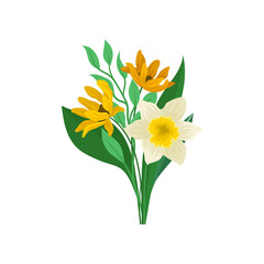 Bouquet of orange lilies and white daffodil. Gorgeous spring flowers with green leaves. Flat vector illustration