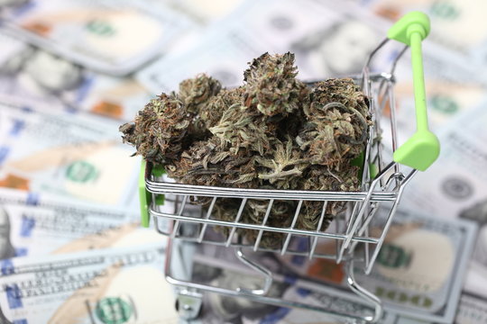 Cannabis Business Concept. Medical Marijuana And Money