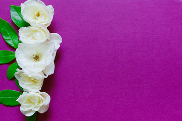 Beautiful background with arrangement of white roses flowers