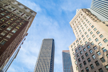 San Francisco City View