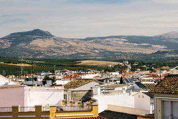 Lucena is a city and a Spanish municipality of the province of Córdoba, Andalusia. It is located...