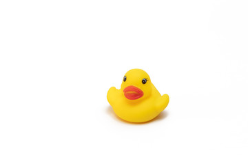 yellow rubber duck isolated on white background