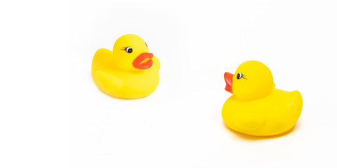rubber ducks on white background