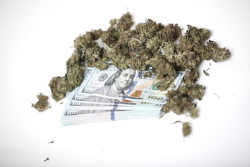 cannabis business concept. Medical Marijuana and Money
