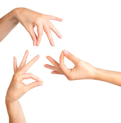 Set of woman hands showing mudra gesture or holding something.