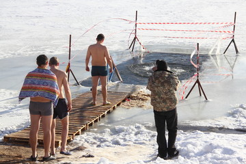 Walruses man friends run to swimming in cold water in the ice hole in winter - winter sports,...