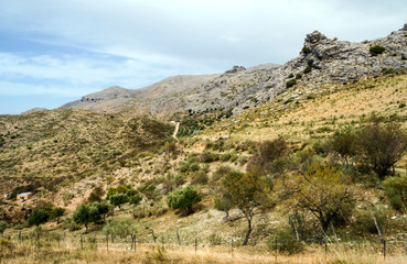 Fototapeta na wymiar Mountain range with the mountains of Cordoba in Spain on a sunny day