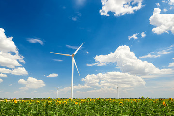 The wind generator in sunflower field. Beautiful landscape with bright cloudy sky. Eco energy...