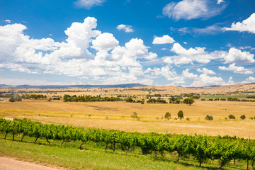 Howqua Valley View