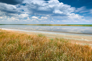 Beautiful summer landscape - wildflowers, lake and beautiful sky.