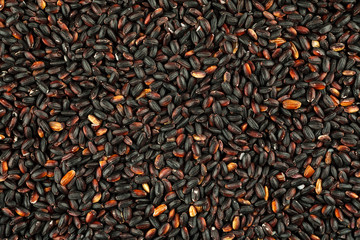 Red rice macro shot, abstract background