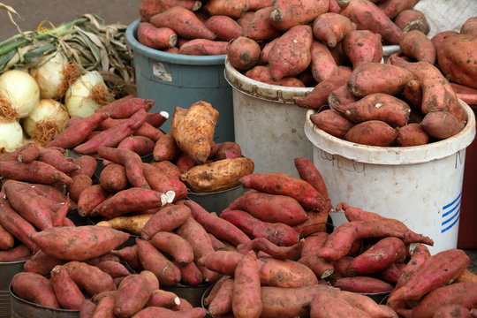 Frisches Gem&uuml;se auf dem Markt von Bulawayo in Simbabwe 