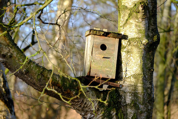 Nistkasten am Baum