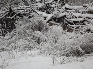 Winter Anapa