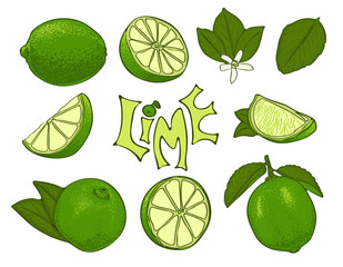Set of lime vector symbols in sketch style