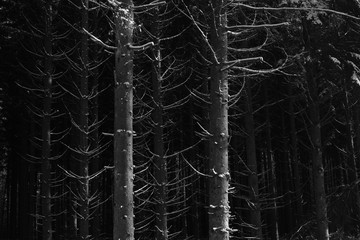 Winter Season specific Panorama