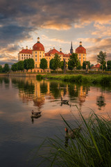 Fototapeta na wymiar Schloss Moritzburg in Sachsen mit Enten und See