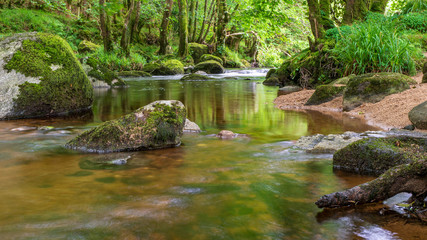 Naklejka na ściany i meble Long exposure landscape with a river flowing and rocks covered in green moss. Tranquil forest scene in Wicklow Mountains ,Ireland, with Glencree River slow moving through green trees.