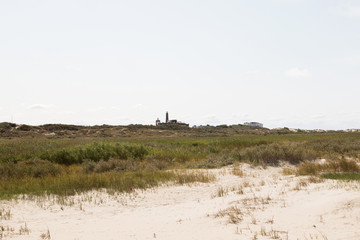 blick auf die dünen und den turm am horizont auf der nordsee insel borkum deutschland fotografiert...