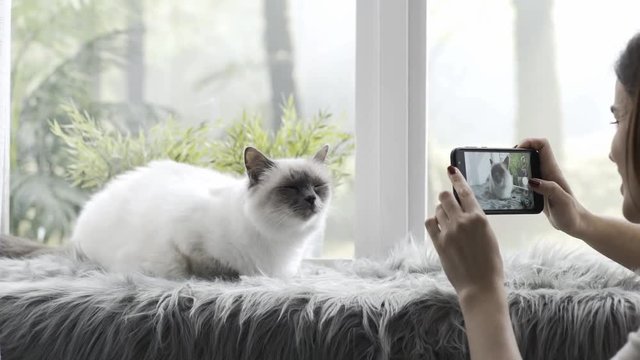 Happy woman taking pictures of her cat