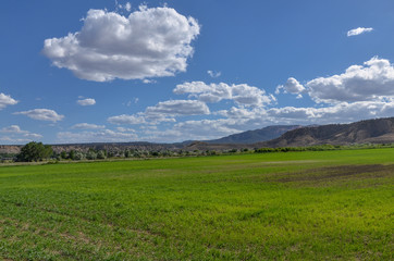 Obraz premium green farming field in Tropic Valley Garfield county, Utah