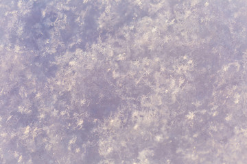 Closeup top view of beautiful sparkling sunny fresh real snow laying on frosty ground outdoors on sunset winter day. Natural snowy glittering background. Flatlay color photography.