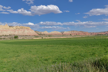 Obraz premium ranches and green fields in the valley of Paria river along Utah State Route 12 (Scenic Byway 12) (Garfield county, Utah)