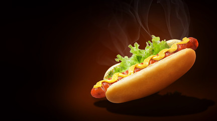 fresh american hot dog with mustard