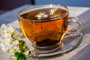 Tea. green. Herbal. Mint. Tea with apple flavor. in a glass cup with an apple flower and dried tea leaves sliced ​​lime. herbal tea and mint leaves on a slate plate in a restaurant