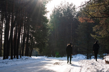 прогулка по зимней дороге в лес