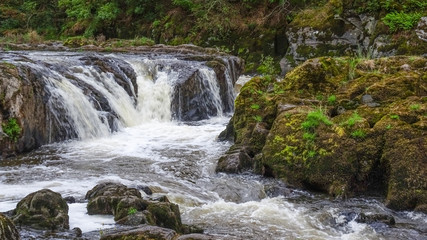 Fototapeta na wymiar Natural Waterfall cascading (Cenarth, Falls, River Teifi, Ceredigion, Wales, UK)