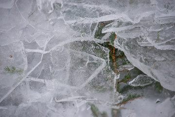 pieces of ice and tree branches