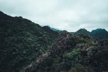 Forest landscape travel scene on top of the mountain with cloudy.