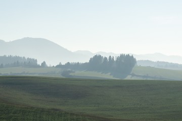 Misty morning on meadow with trees and views. Slovakia
