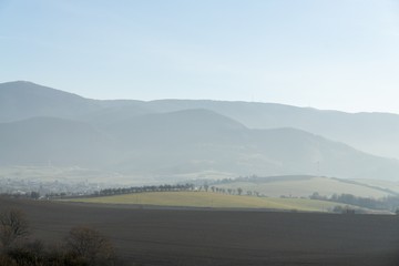 Misty morning on meadow with trees and views. Slovakia