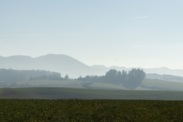 Misty morning on meadow with trees and views. Slovakia