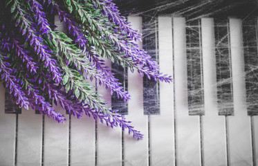 A bouquet of lavender lies on the keyboard of piano covered with spiderweb