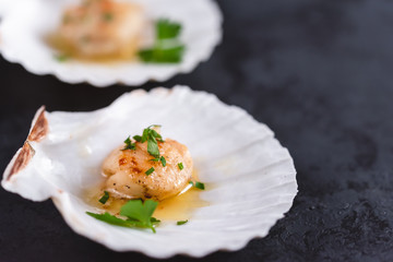 Seared scallops shell with butter, garlic and parsley.