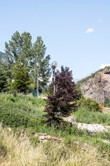 Fototapeta na wymiar Mountains of the Pyrenees in the Benasque valley in Spain on a sunny day.